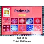 Padmaja readymade rangoli 76-piece set with floral and festive designs.